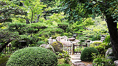 仏心寺自慢の日本庭園